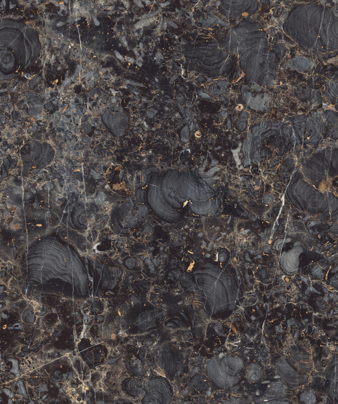 TITANO DENIM - Image 2