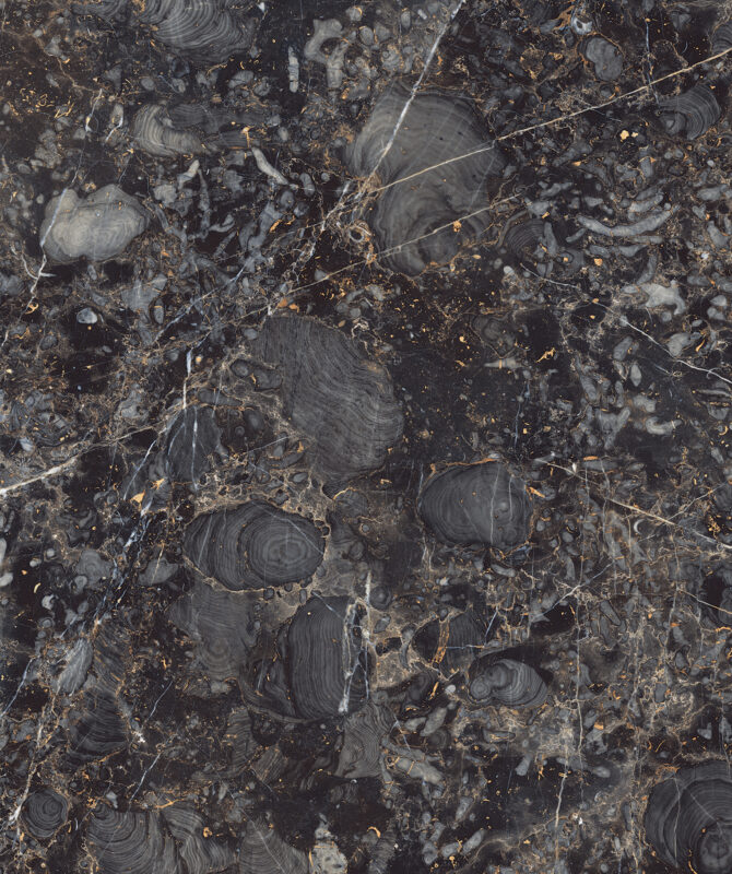 TITANO DENIM - Image 3