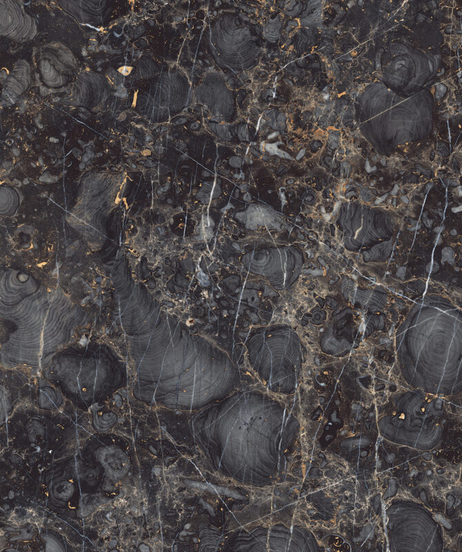 TITANO DENIM - Image 4